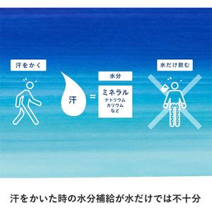 全国配送対応 送料無料 コカ・コーラ アクエリ...の詳細画像3