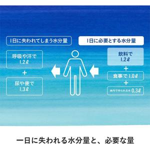全国配送対応 送料無料 コカ・コーラ アクエリ...の詳細画像4