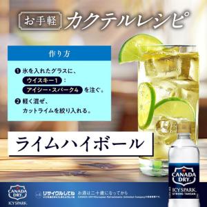 全国配送対応 送料無料 コカ・コーラ アイシー...の詳細画像3