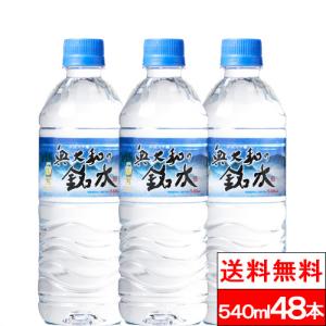 365日出荷 送料無料 奥大和の銘水 540ml 24本 2箱（計48本）シリカ 軟水 国産 シリカウォーター お水 ミネラルウォーター ケイ素水 ペットボトル｜cliqle