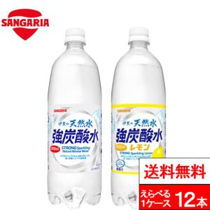 1ケース 送料無料 強炭酸 伊賀の天然水 炭酸水 選べる 炭酸水 1000ml 12本 送料無料 サンガリア 伊賀の強炭酸水 ペットボトル 炭酸ソーダ レモン炭酸水
