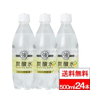 友桝飲料 送料無料 1ケース 強炭酸水 500ml 24本 プレーン 友桝 炭酸水