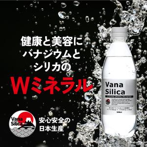 炭酸水 500ml 送料無料 24本 無糖 V...の詳細画像2