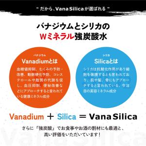 炭酸水 500ml 送料無料 24本 無糖 V...の詳細画像3