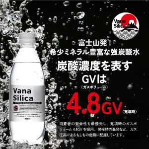 炭酸水 500ml 送料無料 24本 無糖 V...の詳細画像4