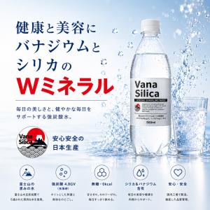炭酸水 500ml 送料無料 24本 無糖 V...の詳細画像4