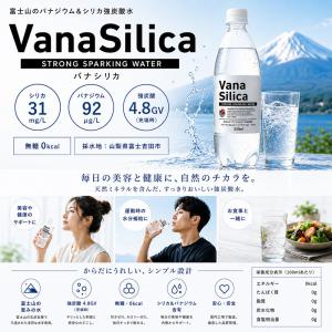 炭酸水 500ml 送料無料 48本 無糖 V...の詳細画像1