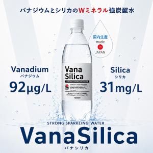 炭酸水 500ml 送料無料 48本 無糖 V...の詳細画像2