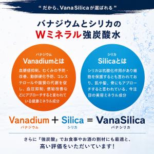 炭酸水 500ml 送料無料 48本 無糖 V...の詳細画像3
