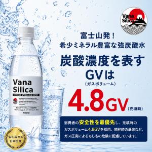 炭酸水 500ml 送料無料 48本 無糖 V...の詳細画像5