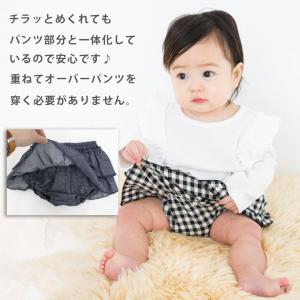ブルマ ベビー ベビー服 子供服 半ズボン ハ...の詳細画像1