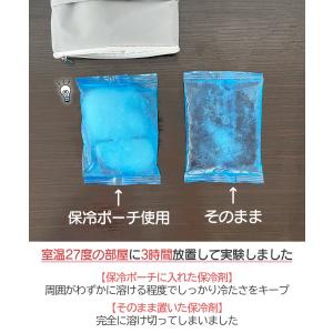 保冷ポーチ 保冷剤入れ 軽量 小型 保冷袋 保...の詳細画像4