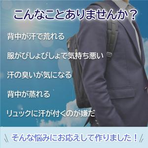 リュックパッド Lサイズ 保冷剤あり 保冷剤パ...の詳細画像1