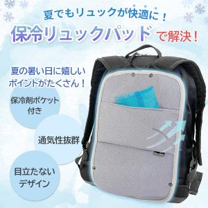 リュックパッド Lサイズ 保冷剤あり 保冷剤パ...の詳細画像2