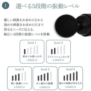 ハンディガン BEGOT 振動 肩もみ 健康器...の詳細画像3