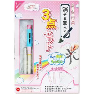 筆ペン 習字 エポックケミカル 消せる筆ペン 3点セット ピンク 658-2480 箱傷み｜cloudnine