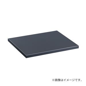 「本体と同時購入必須商品」 ###u.ダイケン 【TBX-V-G】 オプション ひさし スチール製 ダークグレーの商品画像