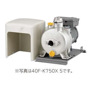 日立（HITACHI） ポンプ【W-P400X】浅井戸用非自動ポンプ 単相100V