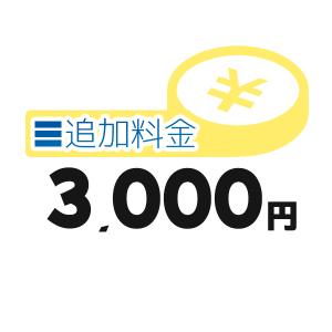 《追加料金・3千円分》追加料金決済かご【3000円】｜clover-9608