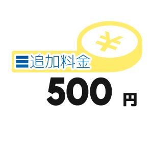 《追加料金・500円分》追加料金決済かご【500円】｜clover-9608