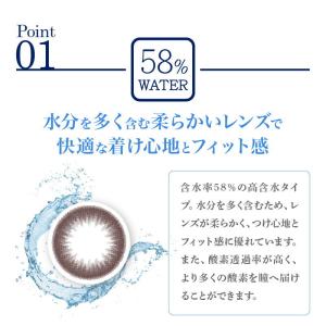 カラコン ピュアアクア クリアリングワンデー ...の詳細画像5