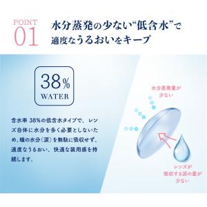 コンタクト ピュアアクア 2week by ゼ...の詳細画像3
