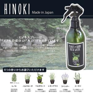ヒノキ 天然消臭除菌スプレー ユーカリ 300ml