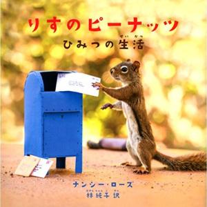 りす 文具 ステーショナリー の商品一覧 キッチン 日用品 文具 通販 Yahoo ショッピング