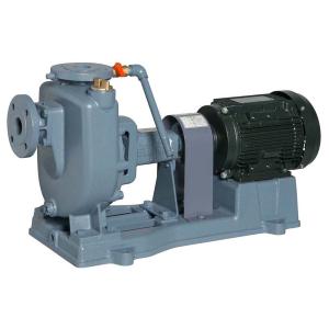 ○テラル ポンプ【50LG2-5.48S】排水水中ポンプ ゴム製 清掃水・床水