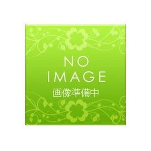 日立 業務用エアコン部材【DG-56SW1】前吹き出しグリル(下がり天井タイプ)〔EF〕 日立（HITACHI） 業務用エアコン部材【DG-56SW1】前吹き出しグリル