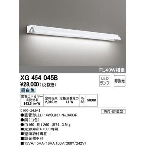 ‡‡‡βオーデリック/ODELIC 防雨防湿型看板灯 【XG454045B】 直管形LED 昼白色 防雨防湿型 壁面取付専用の商品画像