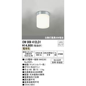 βオーデリック/ODELICエクステリア ポーチライト LED電球一般形 電球色 ねじ込式 防雨 防湿型
