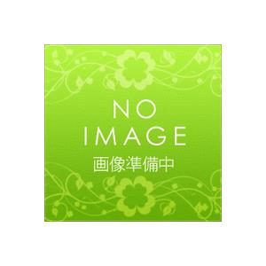 リンナイ オーブン接続キット【RBO-DK-100SK】(52-2909)〔FF〕