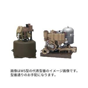 イワヤポンプ 【WSS-253】浅井戸用ポンプ WS型 フランジ 単相 イワヤポンプ 【WSS-253】浅井戸用ポンプ WS型 フランジ 単相
