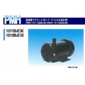 荏原製作所 20HPE0.15S HPE型 浅井戸用インバータポンプ 150W 単相100V