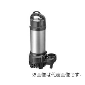 65PV2-61.5 排水水中ポンプ 着脱装置TOK2付 テラル : 配管スーパー.com