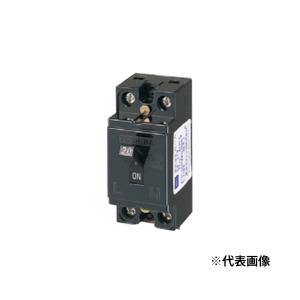Panasonic（パナソニック） 小型漏電ブレーカ 電灯・分岐用 AB-2E型