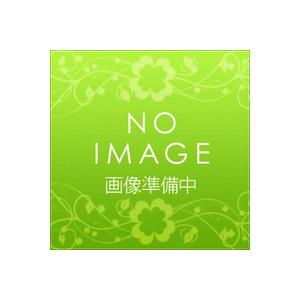 TOTO 洗濯機パン セット品番【PWSP80REB2W】(PWP800RB2W+PJ2004B) ...