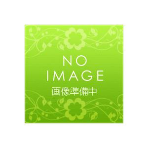 TOTO TOTO正規取扱店 TCM301R純正品 定形外郵便無料 熱交換器ユニット