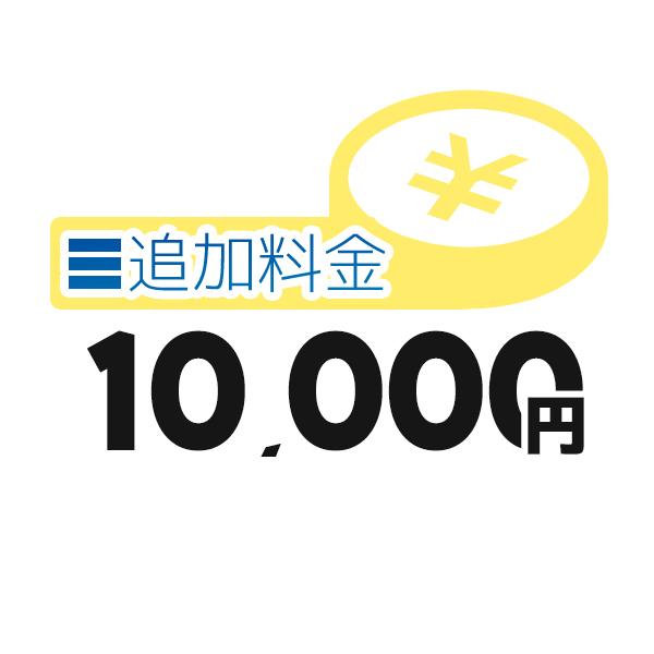 《追加料金・1万円分》追加料金決済かご【10000円】