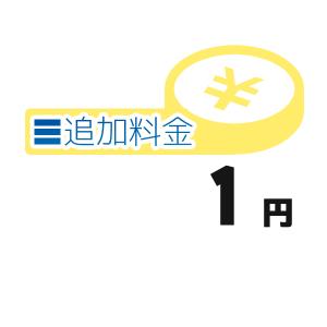 999【商品差額調整または送料追加専用かご】の商品画像