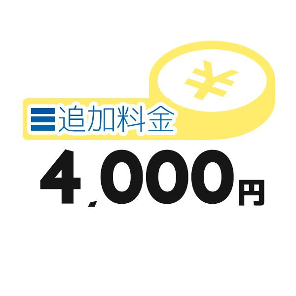 《追加料金・4000円分》追加料金決済かご【4000円】