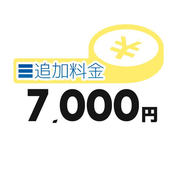 《追加料金・7千円分》追加料金決済かご【7000円】