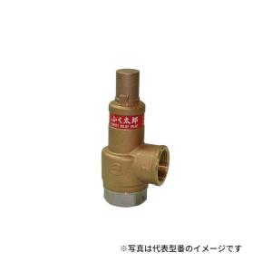VENN/ベン 減圧弁【RD31N-FL32】青銅製(本体) 中容量 直動式 ねじ込形 