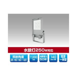 TOSHIBA（東芝） [法人限定] LEDS-06910NW-LS9 LED 投光器 重耐塩形 昼