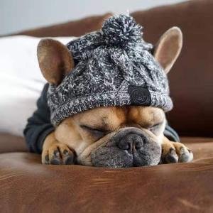 ペット用防寒 犬用ポンポンおしゃれニット帽子｜cloverdog