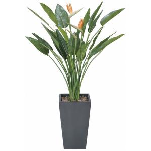 《アートグリーン》《人工観葉植物》光触媒　光の楽園　ストレチア花付１．６｜cloverplain