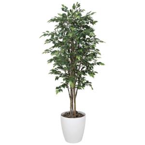 《アートグリーン》《人工観葉植物》光触媒　光の楽園　ロイヤルベンジャミン１．８｜cloverplain