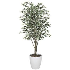 《アートグリーン》《人工観葉植物》光触媒　光の楽園　ベンジャミンツリ−斑入り１．８｜cloverplain