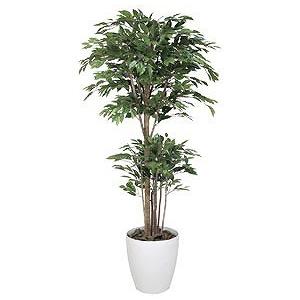 《アートグリーン》《人工観葉植物》光触媒　光の楽園　トロピカルベンジャミン１．８｜cloverplain